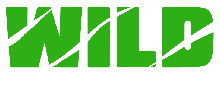 Wild Casino